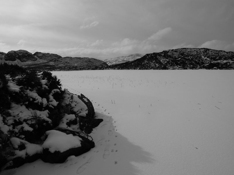 Dock Tarn